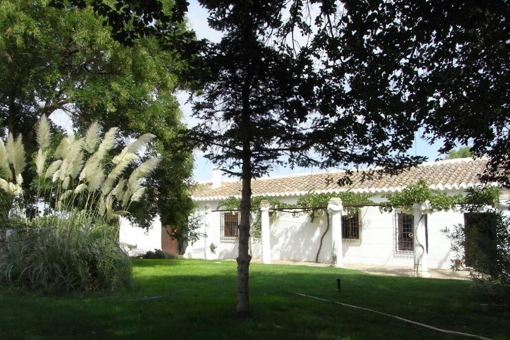 Casa El Carmen Villa Ciudad Real Ngoại thất bức ảnh