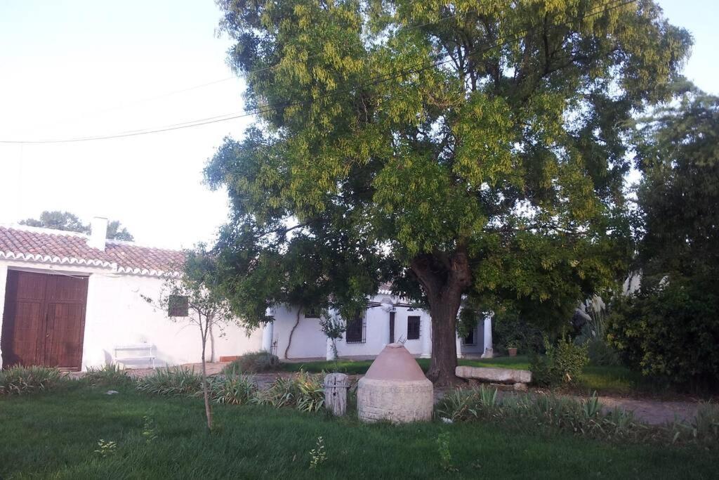 Casa El Carmen Villa Ciudad Real Ngoại thất bức ảnh